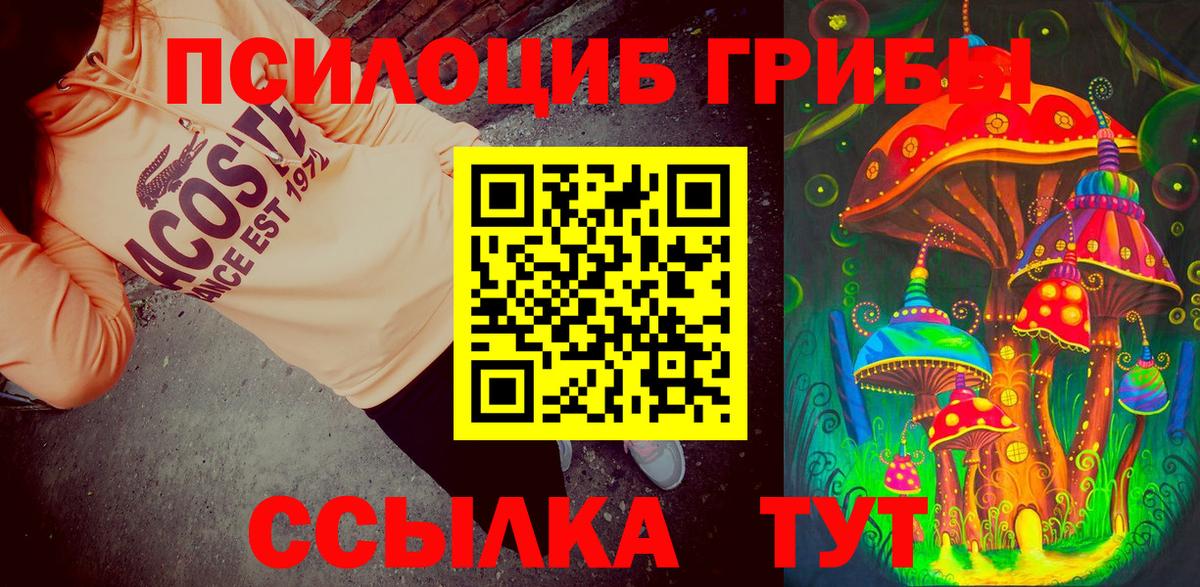 Северск  Галлюциногенные грибы Cubensis  Вход с VPN  Галлюциногенные грибы мухоморы 